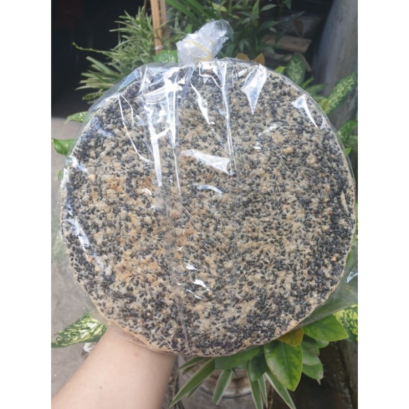 Bánh đa vừng Đô Lương