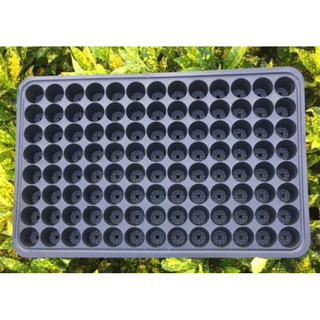  10 khay ươm hạt giống  vỉ ươm hạt giống  104 lỗ 