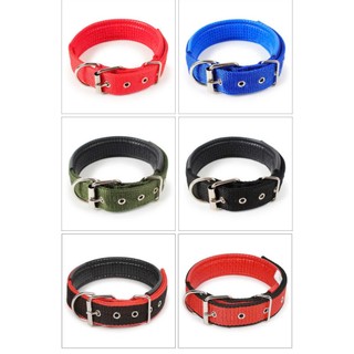 vòng cổ đệm lót không gây đau cổ cho chó - T3 PETS SHOP