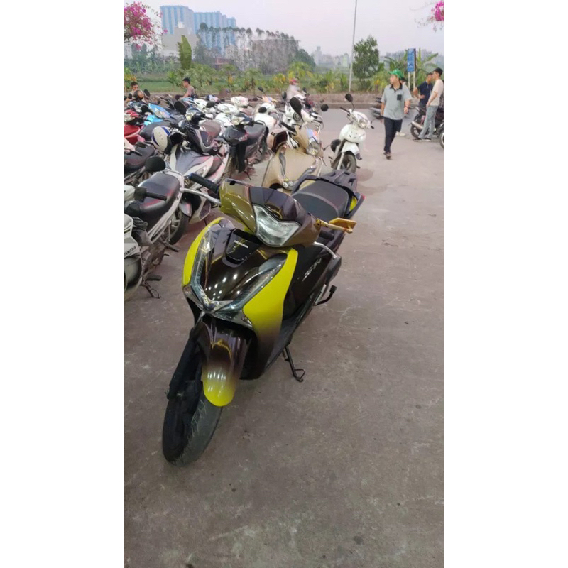 Tem Trùm SH 2017-2018-2019 Loang Đen Vàng,Team Decal SH