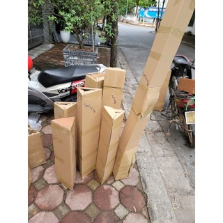 Cây giống VẢI THIỀU LỤC NGẠN ( cây ghép chuẩn giống cao 60 70 cm)
