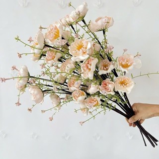  10 Cành..50 Bông Hoa.100 Nụ. Hoa Trà Gạo Cổ .Cành Dài 60 Cm 