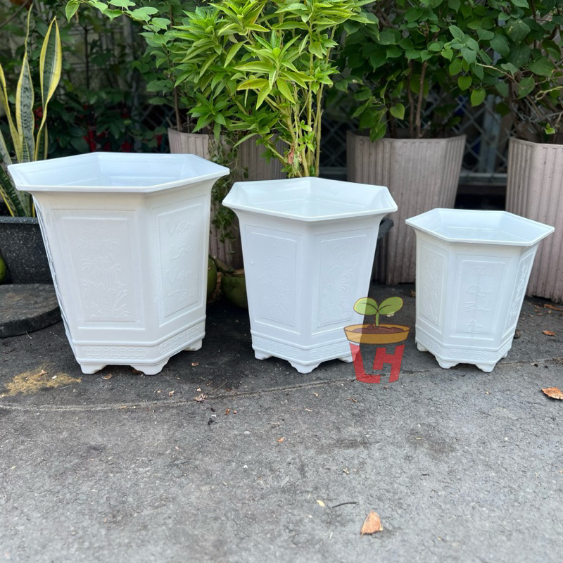 Chậu nhựa trồng cây (Lục giác cao), chậu lục giác Tài lộc