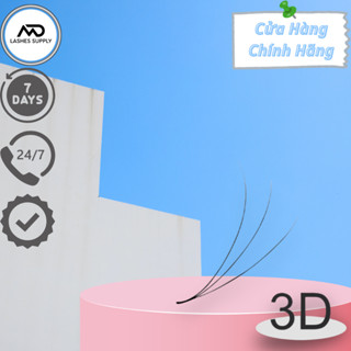 Mi fan 3D độ cong C - CC - D, độ dày 0.7 - 1 hộp 500 fan - dụng cụ nối mi
