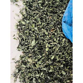 1Kg Bán Chi Liên (Sao vàng hạ thổ,  khô, thơm) Hoàng cầm râu hỗ trợ K, U bướu