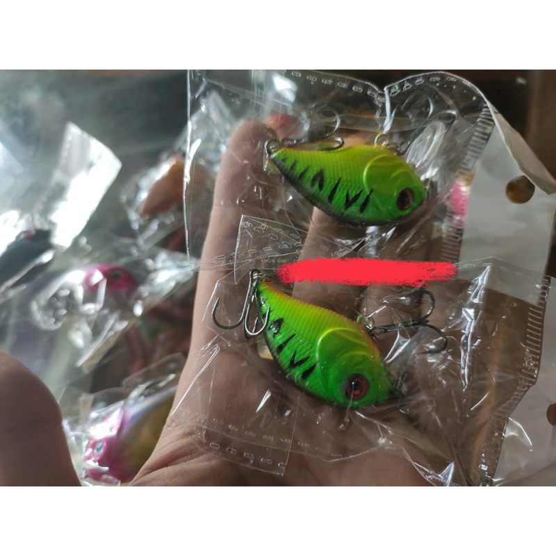 mồi cá voi lưng gù