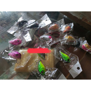 mồi cá voi lưng gù