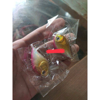 mồi cá voi lưng gù