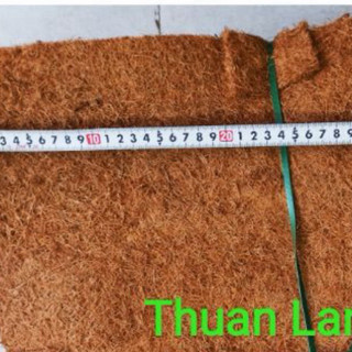 Thảm Sơ Dừa Ép 50×50cm Trồng Lan