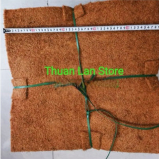 Thảm Sơ Dừa Ép 50×50cm Trồng Lan