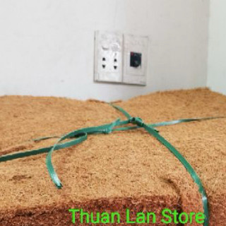 Thảm Sơ Dừa Ép 50×50cm Trồng Lan
