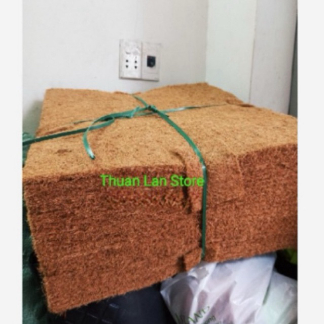 Thảm Sơ Dừa Ép 50×50cm Trồng Lan