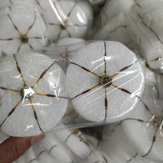lưỡi câu lục chân đồng