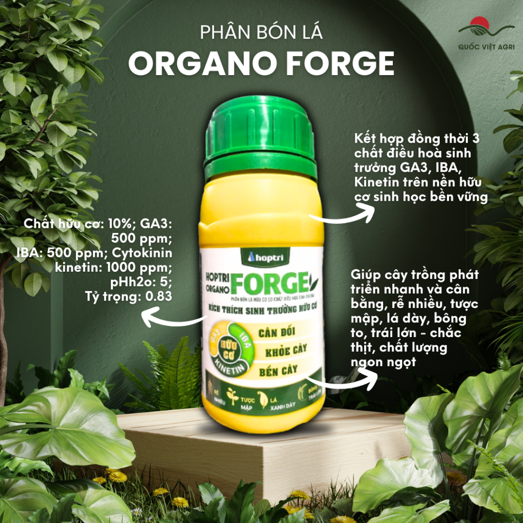 Phân bón kích thích sinh trưởng ORGANO FORGE HỢP TRÍ (chai 250ml)