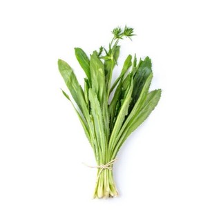 #Hạt_Giống_Mùi_Tàu ( Mua 3 gói tặng 1 gói )