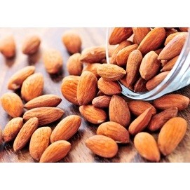 GIẢI PHÁP ĐỒ UỐNG- DỤNG CỤ XÚC ĐÁ / XẺNG XÚC ĐÁ