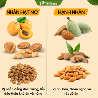 Nhân Hạt Mơ Hữu Cơ - Organic Apricot Kernels - Bịch (500gram)
