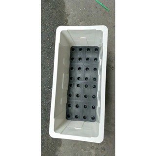 (Chậu 40L) Khay Chậu Nhựa Thông Minh Trồng Rau Và Nuôi Cá Kích Thước 64x30x30cm Kèm Lưới Lót Chậu