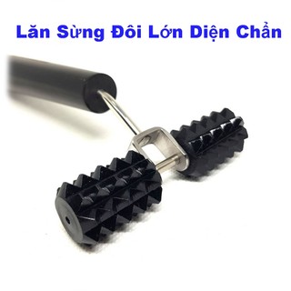 Lăn Sừng Đôi Lớn Diện Chẩn