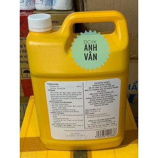 (HOẢ TỐC HCM) POVIDINE 10% SÁT TRÙNG SÁT KHUẨN CAN 5 LÍT