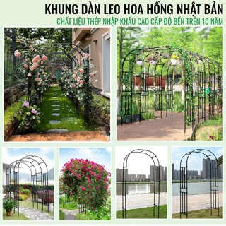 Khung hoa hồng leo Khung cây leo hàng nhập khẩu