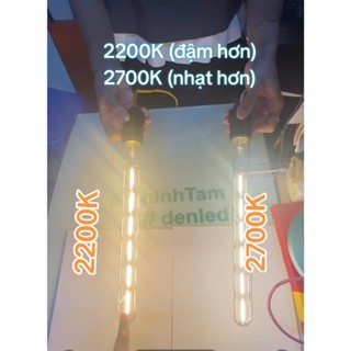 Bóng đèn led Edison T300 6W, 220Vac