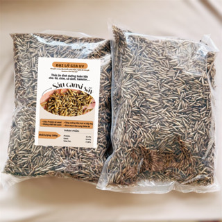  1kg Sâu canxi sấy phồng sâu canxi cho gà  Hàng loại 1  mùi thơm-Sâu Khô Giàu Dinh Dưỡng Cho Chim Cảnh Gà 