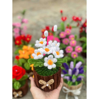  CHẬU HOA MINI KẼM NHUNG HANDMADE - DÙNG TRANG TRÍ BÀN HỌC,BÀN LÀM VIỆC ..... 
