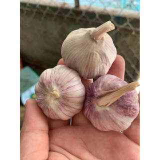 Tỏi khô tây bắc 1kg.  hàng chọn lọc tự nhiên, ko chất bảo quản