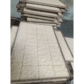 1kg CƠM CHÁY CHỮA CHIÊN