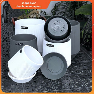 Chậu nhựa giả sứ hai lớp, Chậu trồng cây trong nhà (có đĩa hứng nước), trồng cây ban công, chậu nhựa nhập khẩu