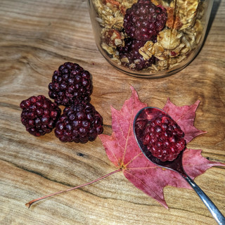 Maple Granola 150g 🍓 Strawberry 🥥 Macapuno ∙ Raspberry