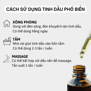 Tinh dầu bạc hà thiên nhiên nguyên chất - Xông phòng thơm mát, thư giãn, ngủ ngon - 10ml/ 50ml/ 100ml