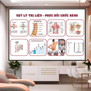 Tranh dán y khoa, cơ xương khớp, huyệt đạo dưỡng sinh mẫu mới. Tranh Fomex dán tường không cần khoan