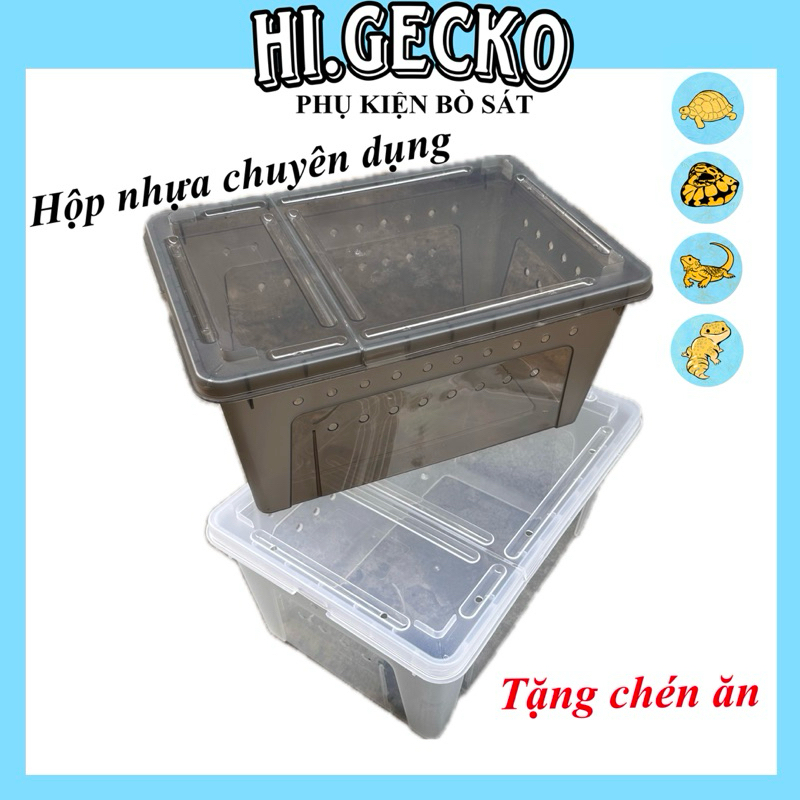 HỘP CHUYÊN DỤNG NUÔI BÒ SÁT, LEOPARD GECKO, LƯỠNG CƯ, ẾCH, TRĂN RẮN, THẰN LẰN,..