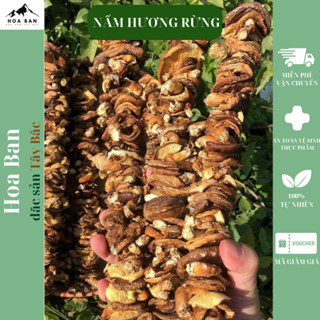 Nấm hương rừng khô Tây Bắc gói 500gr hàng loại 1,nấm hương xiên thơm ngon phơi khô tự nhiên