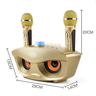 Loa SD 306 kèm 2 Micro, loa cú mèo hát karaoke âm thanh lớn, micro hát siêu nhẹ, hút âm tốt