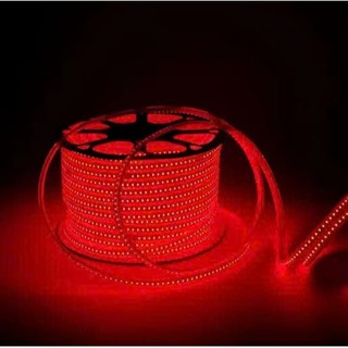 Cuộn 100M LED Dây 220V 2835 120LED/M Lõi đồng chống cháy nổ