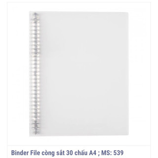 File còng sắt 30 chấu KLONG A4; MS: 539