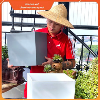 Chậu nhựa vuông có bánh xe, chậu giả sứ nhập khẩu, dày dặn bền đẹp, chậu trồng cây nội thấy, cây ban công, sân vườn