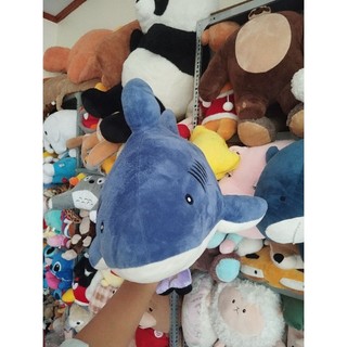 Gấu bông cá miniso size 40-50cm