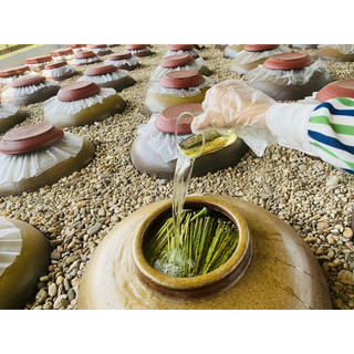 đòng đòng lúa nếp non hạ thổ, hạ thuỷ thơm êm 1l