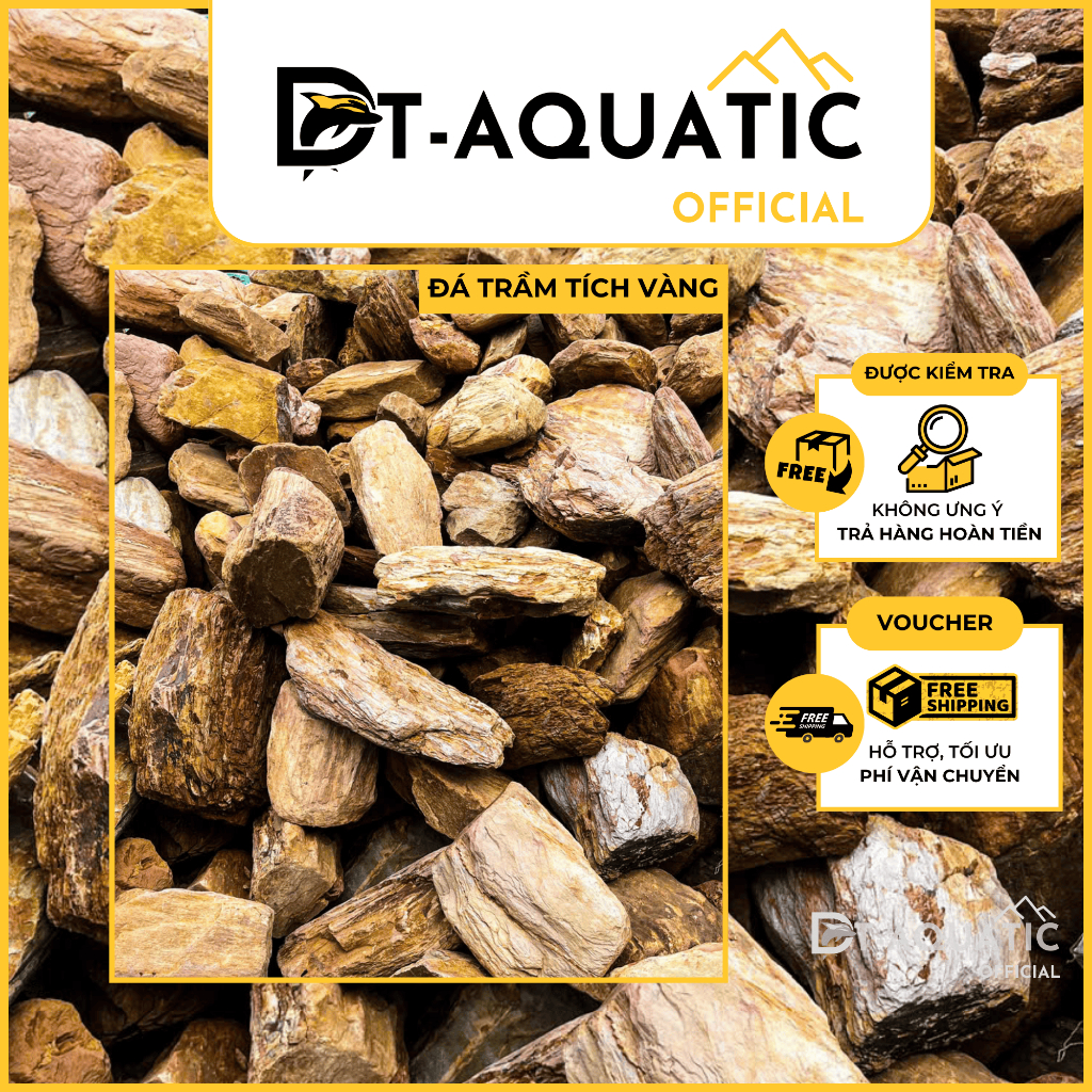 Đá Trầm Tích Vàng (1KG) Setup Bể Thuỷ Sinh,Tiểu Cảnh Bán Cạn, Trang Trí Bể Cá Cảnh