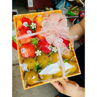 (Combo 10c-Loại dày) Khay Giấy Đựng Hoa Quả, Trái Cây Nhập Khẩu Đủ Size 1kg, 3kg & 5kg, Làm Hộp Đựng Trái Cây Cứng Cáp.