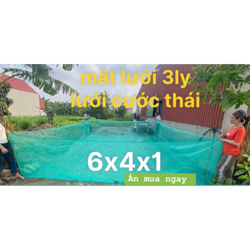 Vèo lưới - tráng lưới nuôi cá ốc ếch lươn tôm cua baba rắn... Lưới thái sịn đủ kích thước và mắt lưới