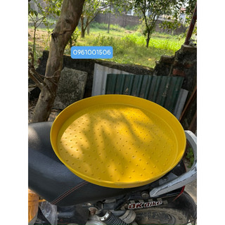 Mẹt vàng cho gà vịt úm