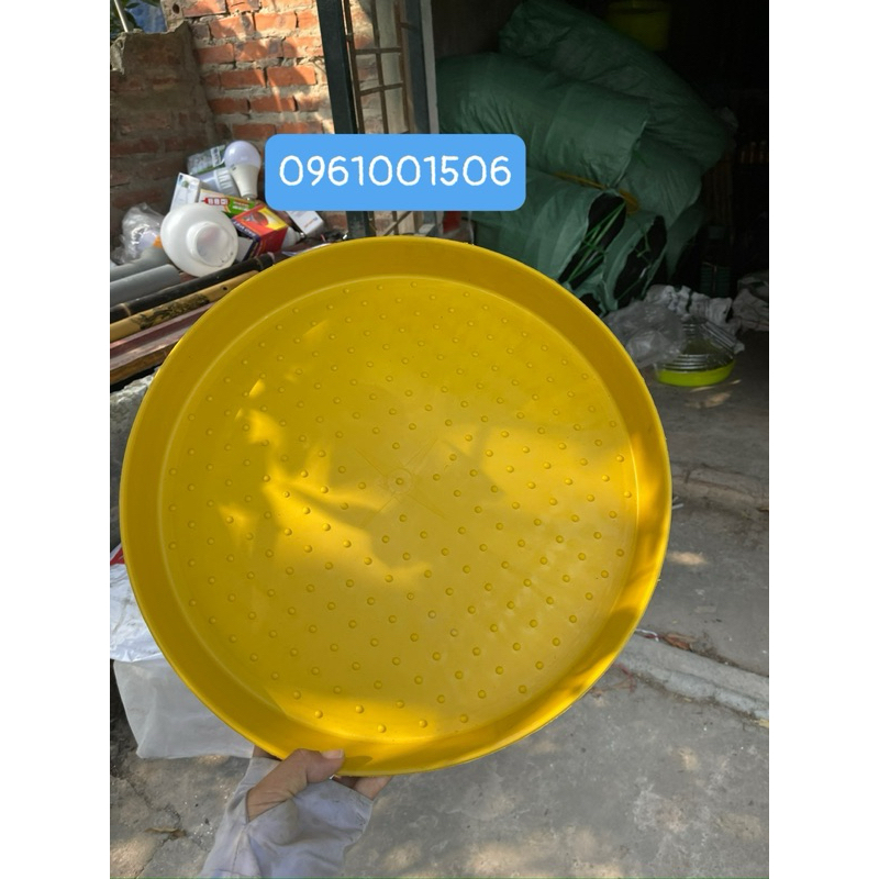 Mẹt vàng cho gà vịt úm