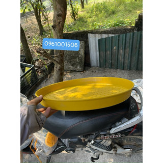 Mẹt vàng cho gà vịt úm