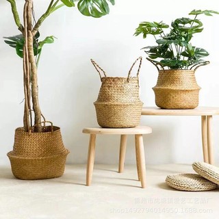 Giỏ cói đặt chậu cây, giỏ cói trang trí decor phong cách vintage