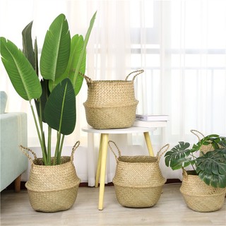 Giỏ cói đặt chậu cây, giỏ cói trang trí decor phong cách vintage